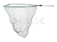 Dragon Pike Net