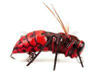 Señuelo Imago Lures Hornet 3.5cm 2.5g Flow - RB