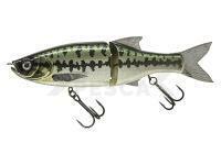 Señuelo Molix Glide Bait 178 Floating | 17.8cm 73g | 7 in 2.1/2 oz - 123 Baby Bass