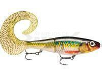 Señuelo Rapala X-Rap Otus 25cm - Rock n Roach
