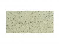 Vinilo Tiemco PDL Locoism LinkIn Swimmer 3 inch | Shrimp Flavor - 170 Non-Salty