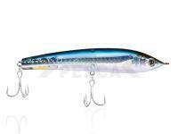 Señuelo Tiemco Salty Red Pepper 110mm 16g - #106 HG Slash Pacific Saury
