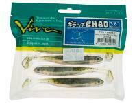 Vinilo Viva Kiracchi Shad 3.8 inch - 053