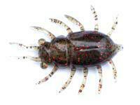 Vinilos FishUp Maybug 1.3" #019 - Motor Oil/Red