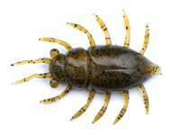 Vinilos FishUp Maybug 1.3" #074 - Green Pumpkin Seed