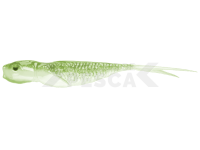 Vinilos Qubi Lures Syrena V-Tail 7cm 4g - Stynka
