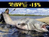 -15% de descuento en Black Cat, Quantum y DAM! Carretes Shimano Stella FK ¡casi 30% DE DESCUENTO!