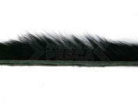 Wapsi Rabbit Zonkers 100 - black