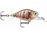 Señuelo Rapala X-Light Crank Mid Runner 3.5cm - Purple Prawn UV