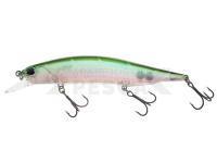 DUO Realis Jerkbait 110SP - CCC3254 D Shad