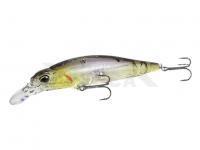 DUO Realis Rozante 77SP