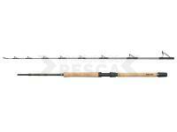 Caña Regiment IV Pro Boat 2.10m F 12-20lb 2Sec Conv