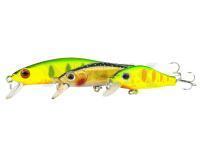 Zipbaits Rigge