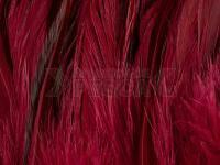 Rooster Saddle Feather - Claret