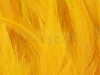 Rooster Saddle Feather - Sun Burst