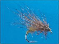 Scallywag Murrough no. 10