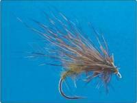 Scallywag Murrough no.10