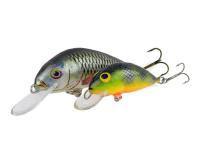 Dorado Scout