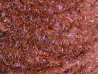 Semperfli EggStatic Egg Fritz 8mm - Rootbeer