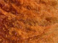 Semperfli EggStatic Egg Fritz 8mm - Tangerine