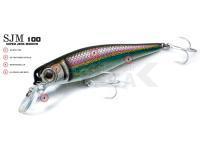 Molix Señuelos duros SJM 100 Super Jerk Minnow