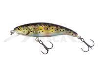 Señuelo Salmo Slick Stick 6cm - Holographic Brownie (HGB)