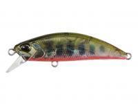 Señuelo DUO Spearhead Ryuki 45S Awabi - DDH4038 Yamame RB AM