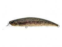 Señuelo Duo Spearhead Ryuki 80S - CCC3815 Brown Trout