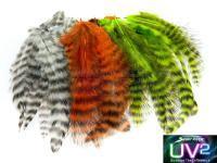 Spirit River Spirit River - UV2 Grizzly Soft Hackles