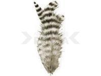 Spirit River UV2 Grizzly Soft Hackles - Natural