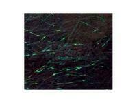 Starlite Dubbing - Dark Green