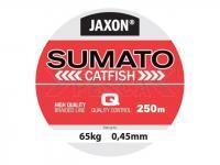 Jaxon Trenzados Sumato Catfish 250m