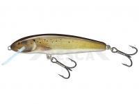 Señuelo Salmo Minnow Sinking 5 | 5cm 5g | 2" 3/16oz - Grayling