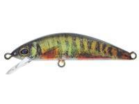 Señuelo Illex Tricoroll 47MM HW - RT Spawning Vairon