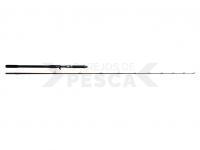 Caña W4 MonsterStick-T 2nd 7`9" 233 CM 5XH 120-260 G