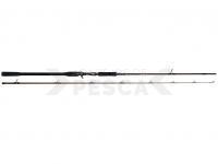 Caña W4 Powershad-T 2nd 7'3" 218 CM XXH 50-150 G