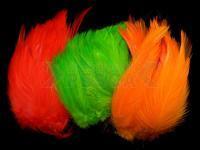 Wapsi Neck Hackle Strung