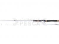 Caña Casting Dragon G.P. Concept Twitch Cast 42MH 1.90m 18-42g