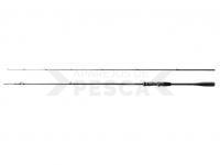 Shimano Dialuna Inshore Casting