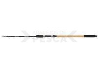 Daiwa Cañas Procaster Tele