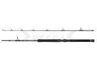 Caña Regiment IV Boat 2.10m F 12-20lb 2Sec Conv