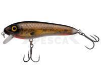 Señuelo Abu Garcia Svartzonker McCelly 140mm 64g - Crucian Carp