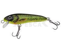 Señuelo Abu Garcia Svartzonker McCelly 70mm 9g - Real Hot Pike