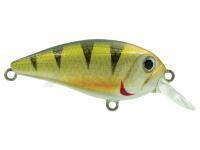 Señuelo Adam's Crank 50 SR | 50mm 7.50g - Perch