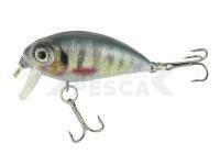 Señuelo duros Atract Mini XHG 3.5cm F - N