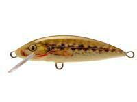 Señuelo Dorado Classic C-5 Sinking NB