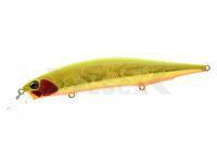 Señuelo Duo Realis Jerkbait 120S SW 12cm 21.6g - ADA3121 Phoenix