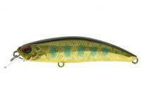 Señuelo DUO Spearhead Ryuki 60S - ADAZ154 Trebizat Yamame