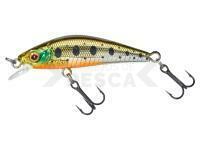 Señuelo duro Gunki Gamera 39 HW - HL Fario