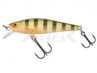 Señuelo duro Gunki Gamera 65 SP Twitch - Wild Perch